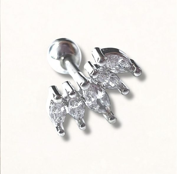Piercing Oreille filly - Image 2