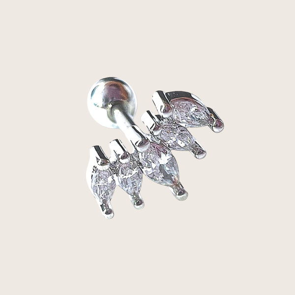 Piercing Oreille filly