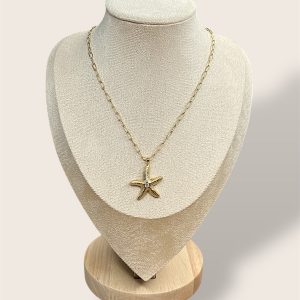 Coller Étoile de mer