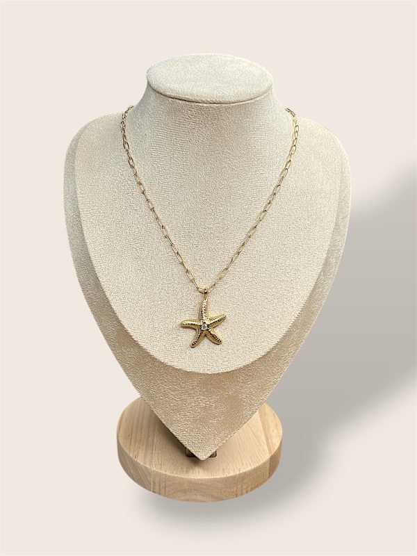 Coller Étoile de mer
